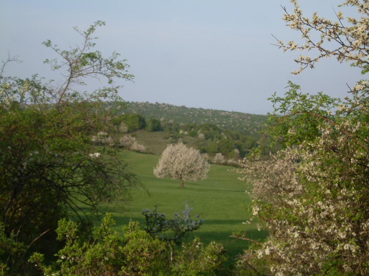 Ubytovanie Na Vcelej Farme Polichno Exterior photo